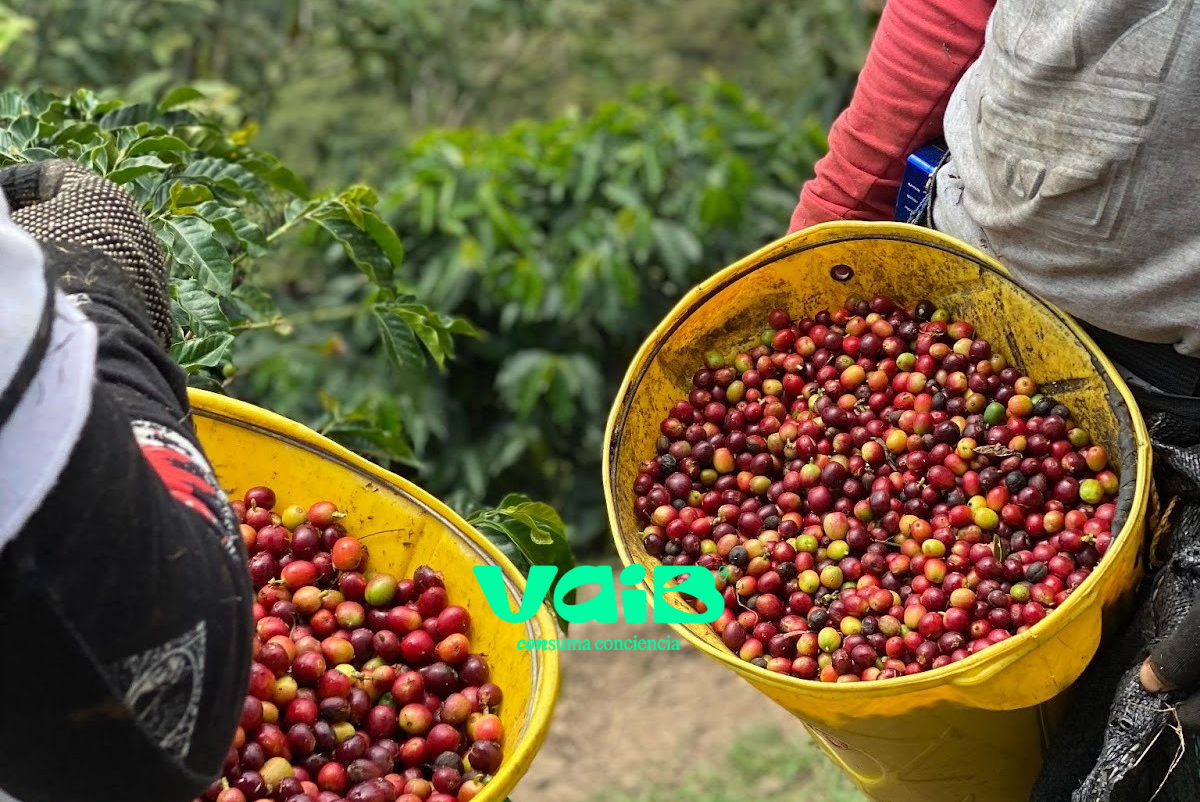 App de los comercios sostenibles