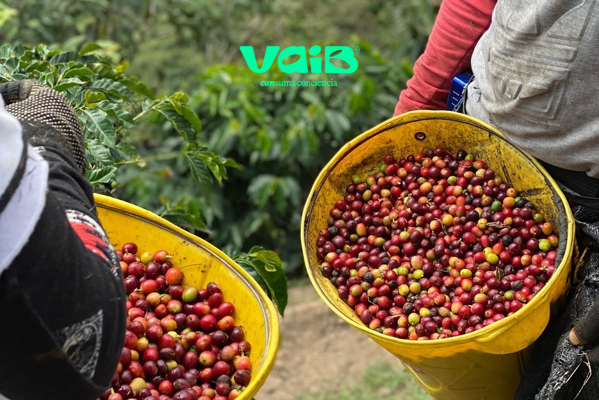 Café local en Sant Antoni Barcelona